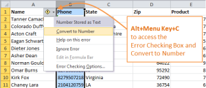 Excel Convert Text to Number with Keyboard Shortcuts