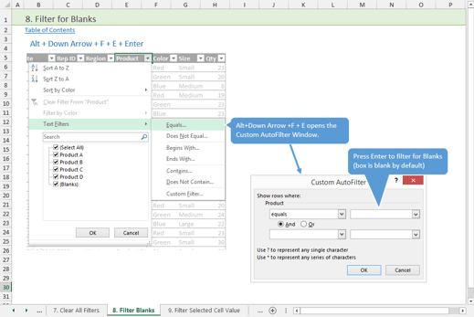 Filter Drop-down Shortcuts Workbook Sample Page