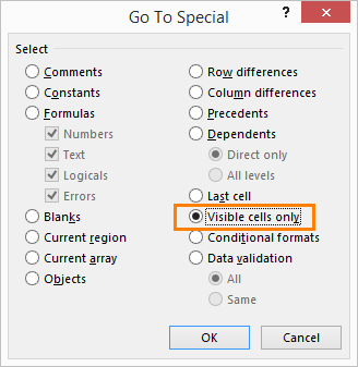 Go To Special Menu in Excel Visible Cells Only