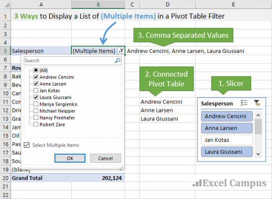 3 Ways To Display Multiple Items Filter Criteria In A Pivot Table Excel Campus