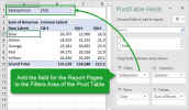 Create Multiple Pivot Table Reports with Show Report Filter Pages ...