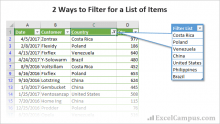 2 Ways to Filter for List of Items in Excel + Video Tutorial - Excel Campus