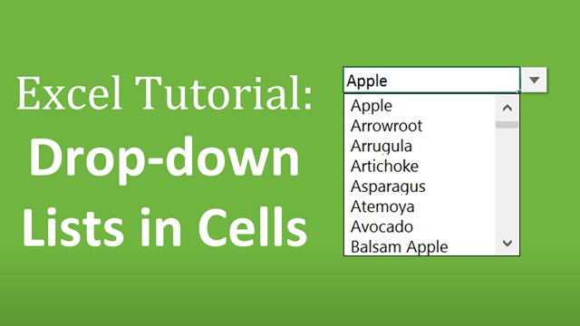 Excel Tutorial Drop Down Lists in Cells