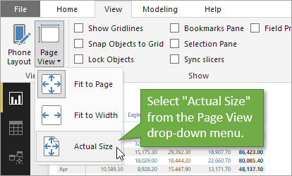 Select Actual Size from the Page View menu