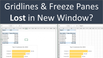 Gridlines Freeze Panes Lost in New Window Video Thumb 640