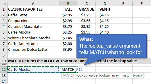 Lookup_Value Argument for MATCH Function in Excel