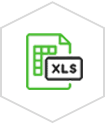 XLS Icon Eliminate Spreadsheet Headaches