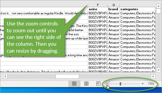 zoom control to resize columns