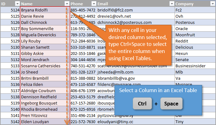 Ctrl Space to select entire column with Excel Tables