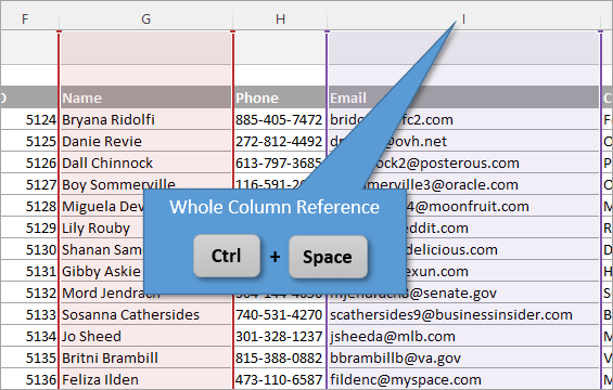 Whole Column Reference Keyboard Shortcut