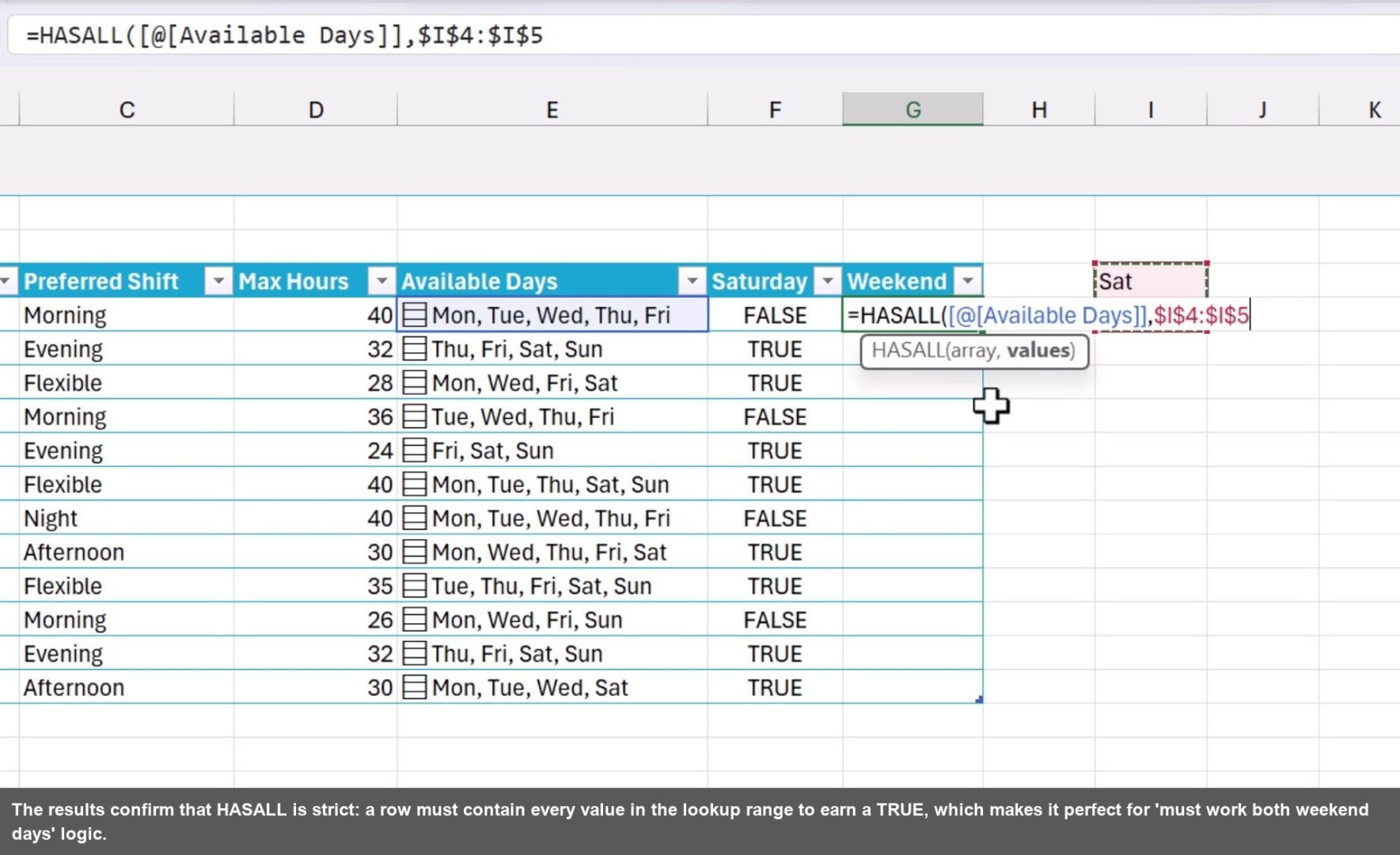The results confirm that HASALL is strict: a row must contain every value in the lookup range to earn a TRUE, which makes it perfect for 'must work both weekend days' logic.